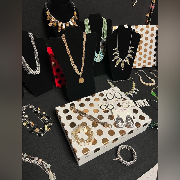 NWT Lia Sophia WHOLESALE box 10 NEW pieces total retail $500 or more - Picture 6 of 15